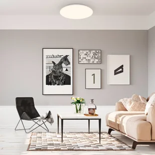 Briloner Lampa sufitowa Ekos z czujnikiem ruchu LED, Ø 35 cm - Lampy sufitowe - miniaturka - grafika 1