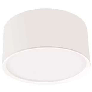 Light Prestige Kendal oprawa natynkowa biała LP-6331/1SM WH - Oświetlenie warsztatowe - miniaturka - grafika 2