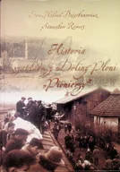 Historia świata - Historia zakładu z Doliny Płoni. Pionierzy - miniaturka - grafika 1
