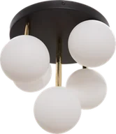 Lampy sufitowe - Ali lampa sufitowa 5-punktowa czarna/złota 5645 - miniaturka - grafika 1