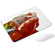 Podkładki pod mysz - Podkładka pod mysz Kameleon - miniaturka - grafika 1