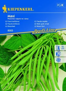 Fasola Zwykła Maxi – Kiepenkerl - Nasiona i cebule - miniaturka - grafika 1