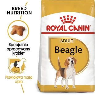 Royal Canin Beagle Adult 12kg + Wiadro na karmę 51l 197810 - Mokra karma dla psów - miniaturka - grafika 1