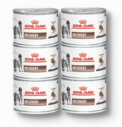 Mokra karma dla psów - ROYAL CANIN Recovery 195g puszka - miniaturka - grafika 1