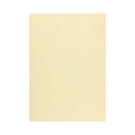 Papier do drukarek - Karton ozdobny A4 250g Natte kremowy (20) - miniaturka - grafika 1