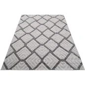 Dywany zewnętrzne - Jasnoszary dywan na taras E6-L72 - miniaturka - grafika 1