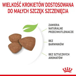 ROYAL CANIN Mini Puppy 2kg karma sucha dla szczeniąt, od 2 do 10 miesiąca życia, ras małych - Sucha karma dla psów - miniaturka - grafika 7
