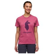 Pinko t-shirt bawełniany damski kolor biały 103138 A1XD