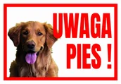 Akcesoria BHP - Uwaga Pies  Retriever - Tabliczka Ostrzegawcza - miniaturka - grafika 1