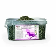 Akcesoria jeździeckie - Nuba Equi Zioła dla nerwowych koni 1300g - granulat - miniaturka - grafika 1