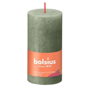 Bolsius Rustik świeca filarowa świeża oliwka 100/50mm - Świece - miniaturka - grafika 1