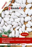 Nasiona i cebule - Fasola Riposta 50 g PLANTICO - miniaturka - grafika 1