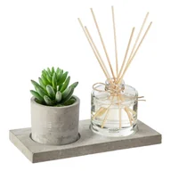 Aromaterapia - Atmosphera Elegancki zestaw zapachowy + doniczka z kaktusem 161599-grass - miniaturka - grafika 1
