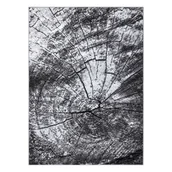 Dywany - Dywan BCF Morad PIEŃ drzewo drewno - szary 240x340 cm - miniaturka - grafika 1