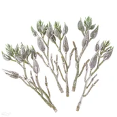 Zabawki kreatywne - Liście ozdobne 6 szt. oliwkowe - miniaturka - grafika 1