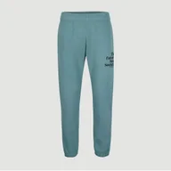 Dresy męskie - Męskie Spodnie FUTURE SURF JOGGER XL - miniaturka - grafika 1