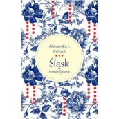 Historia świata - Śląsk romantyczny - miniaturka - grafika 1