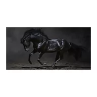 Foto gadżety - Foto-obraz szkło hartowane Czarny koń - miniaturka - grafika 1
