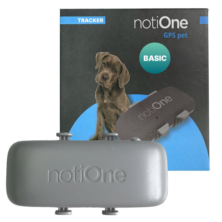 notiOne GPS pet BASIC - precyzyjny lokalizator dla psa i kota