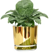 Donice - 18 cm wzór ZŁOTO - BIAŁA Doniczka z podstawką * nowoczesna *elegancka *styl glamour * wysoki połysk * z drenażem - miniaturka - grafika 1