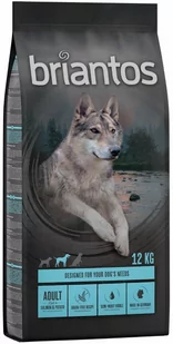 briantos Adult, łosoś z ziemniakami, bez zbóż - 4 x 1 kg - Sucha karma dla psów - miniaturka - grafika 1