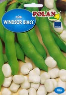 Nasiona i cebule - Plantico Bób Windsor biały - miniaturka - grafika 1