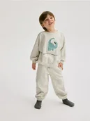 Bluzy i sweterki niemowlęce - Reserved - Bawełniany komplet z aplikacją - jasnoszary - miniaturka - grafika 1