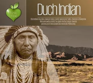 Muzykoterapia: Duch Indian - Muzyka relaksacyjna - miniaturka - grafika 1