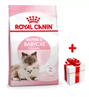 Sucha karma dla kotów - ROYAL CANIN  Mother&Babycat 4kg karma sucha dla kotek w okresie ciąży, laktacji i kociąt od 1 do 4 miesiąca życia + niespodzianka dla kota GRATIS! - miniaturka - grafika 1