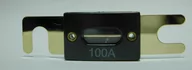 Prostowniki samochodowe - BEZPIECZNIK 100A-120A DINAMIK 440 - miniaturka - grafika 1