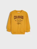 Swetry dla chłopców - Sinsay - Bluza - żółty - miniaturka - grafika 1