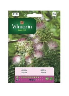 Albicja 2 g Vilmorin drzewko doniczkowe - Nasiona i cebule - miniaturka - grafika 1