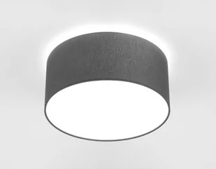 Nowodvorski Plafon CAMERON grey 15 by (9687) - Lampy sufitowe - miniaturka - grafika 1