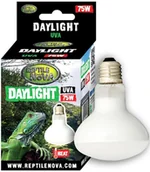 Akcesoria do terrarium - REPTILE NOVA Żarówka Grzewcza Uva - Reptile Nova Daylight 75W - miniaturka - grafika 1