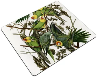 Podkładka Carolina Parakeet James Audubon 24x19cm - Podkładki pod mysz - miniaturka - grafika 1