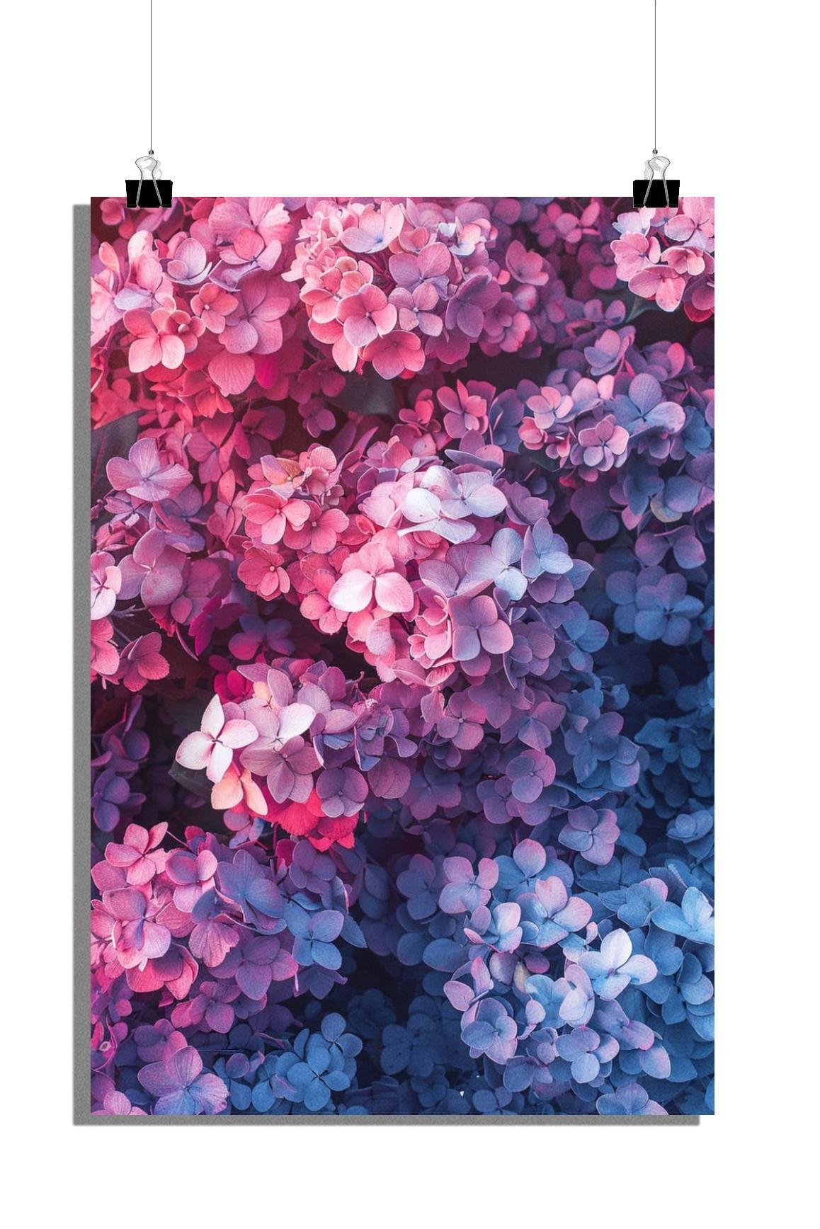 Plakat Hortensja - Plakat Kwiaty - Plakat Natura - Plakat Rośliny - 51x71cm - Idealny do oprawienia w ramkę