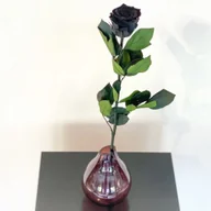 Sztuczne kwiaty - Czarna Wieczna Róża na Łodydze 50 cm - miniaturka - grafika 1