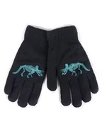 Rękawiczki dla dzieci - Rękawiczki Chłopięce Pięciopalczaste Dwuwarstwowe Czarne Szkielet Dinozaura 20 Cm - miniaturka - grafika 1