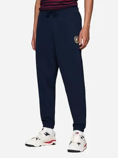 Spodnie dresowe męskie Tommy Hilfiger DM0DM19805-C1G L Granatowe (8720637302767) - Spodnie sportowe męskie - miniaturka - grafika 1