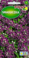 Nasiona i cebule - Smagliczka Royal Carfert 1 g POLAN - miniaturka - grafika 1