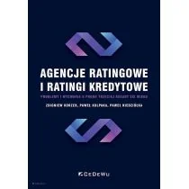 Agencje ratingowe oraz ratingi kredytowe Nowa - Biznes - miniaturka - grafika 1