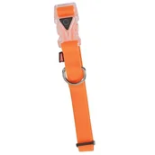 Obroże dla psów - Zolux Obroża silikonowa regulowana 34-53cm 20mm pomarańczowa - miniaturka - grafika 1