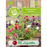 Nasiona i cebule - Groszek pachnący mieszanka nasiona 2g W. Legutko - miniaturka - grafika 1