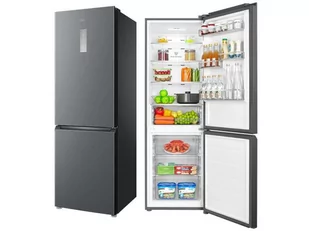 Lodówka TCL RP318BXE2 - Lodówki - miniaturka - grafika 1