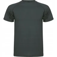 Koszulki męskie - Koszulka Sportowa Męska T-shirt CONTROL DRY ROLY 0425 GRAFIT DARK LEAD M - miniaturka - grafika 1