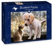 Puzzle - Puzzle 500 Kotek i piesek - miniaturka - grafika 1