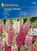 Nasiona i cebule - Kiepenkerl Naparstnica Excelsior-Hybriden Digitalis purpurea 102343 - miniaturka - grafika 1