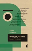 Książki o programowaniu - Przejęzyczenie - Zofia Zaleska - książka - miniaturka - grafika 1
