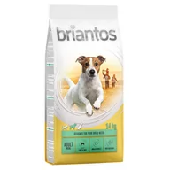 Sucha karma dla psów - Briantos Adult Mini, jagnięcina & ryż - 14 kg - miniaturka - grafika 1
