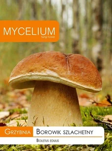 Grzybnia Borowik szlachetny 10 g - Nasiona i cebule - miniaturka - grafika 1